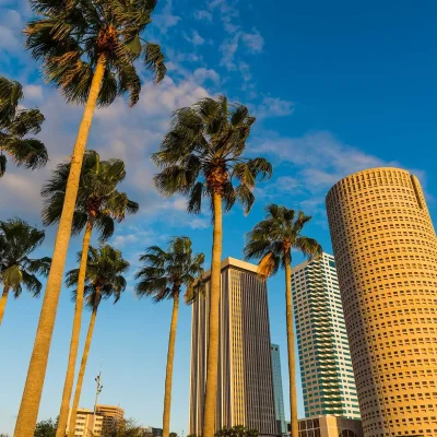 Estate Planning Law Firm Brandon, FL