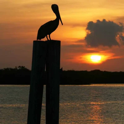 FL Estate Planning and Legacy Law