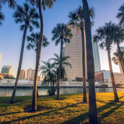 Tampa Elder Law and Probate Attorney