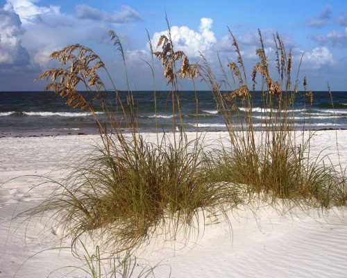 FL Estate Planning and Legacy Law